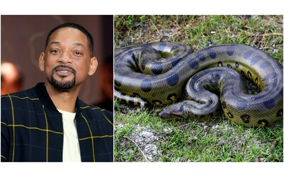 Will Smith scopre la “doppia” anaconda gigante: la clamorosa rivelazione mentre stava girando un documentario del National Geographic