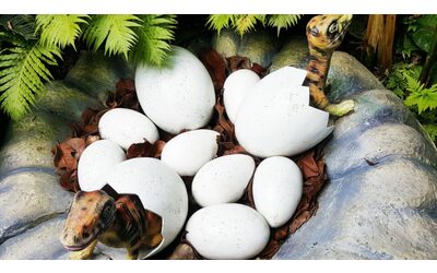 Dinosauri: nuovi dettagli emergono dall’analisi delle uova di Qianlong shouhu