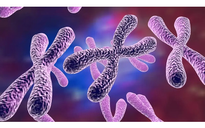 il cromosoma artificiale che forse la svolta per la lotta contro il cancro