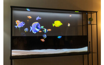 lg presenta la nuova tv oled trasparente che si trasforma in acquario e arte animata