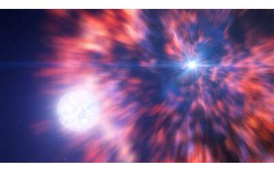 Supernovae e oggetti compatti: emergono nuove dinamiche