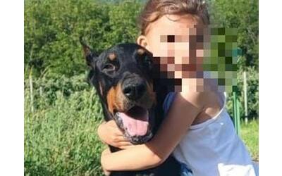 Aosta, cane in ipotermia, condannato titolare di una pensione per animali....