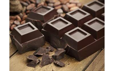 Cioccolato fondente, le migliori (e peggiori) tavolette da acquistare al...