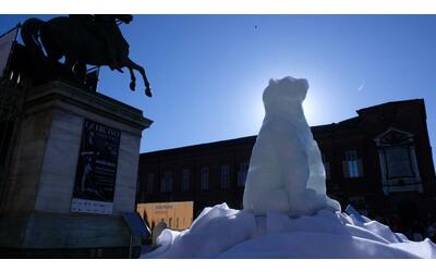 Cosa ci fa un orso di ghiaccio in una delle principali piazze di Torino? Si scioglie...