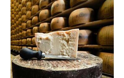 formaggi italia batte francia tra i primi 6 migliori al mondo ci sono 4 italiani la classifica
