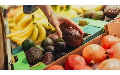 i pericoli della frutta esotica l indagine sui pesticidi vietati in ananas mango e avocado