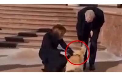 Il cane del presidente moldavo morde la mano del presidente austriaco...