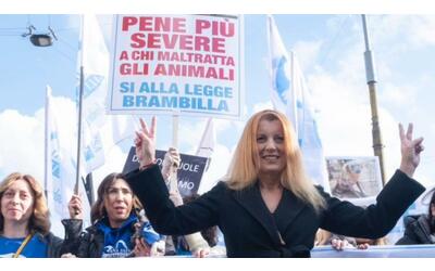 Il corteo degli animalisti  sfila a Milano, Brambilla:  «Pene più severe a chi  uccide e maltratta»