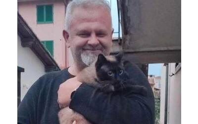 Mikusia, la «gatta camionista»: ritrova il suo Adam grazie ai social e alle volontarie toscane
