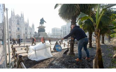 Milano, palme e banani via da piazza Duomo: con il nuovo sponsor Oasi Zegna arrivano le piante delle Alpi Biellesi