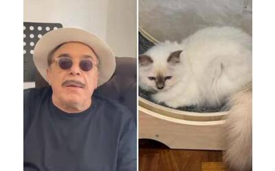 Nino Frassica indagato: anche lui denunciato dai vicini di casa dopo la scomparsa del gatto Hiro