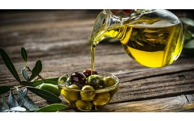 olio extravergine d oliva sempre pi caro oggi costa il 56 in pi di un anno fa