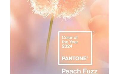 pantone 2024 il colore dell anno il peach fuzz avvolgente e caldo
