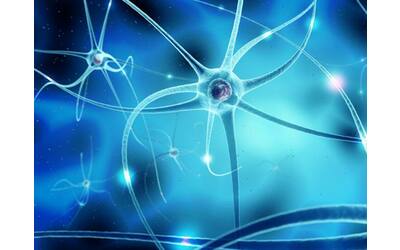 parkinson speranza di cura dalle cellule staminali che diventano neuroni dopaminergici