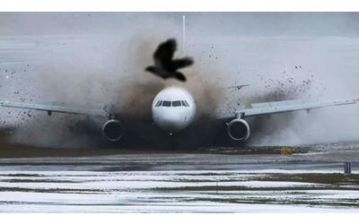 paura sul volo orio vilnius atterraggio nella neve l aereo sbanda e finisce fuori pista