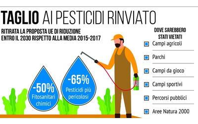 pesticidi che cosa cambia con le nuove regole quali sono gli effetti sulle coltivazioni