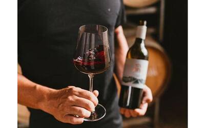 Piemonte, 5 vini rossi da provare (secondo la redazione di Cook)