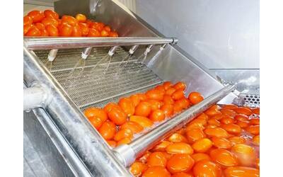 Pomodoro, prezzi al rialzo per le conserve: costi di produzione lievitati fino al 40%