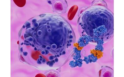 tumori del sangue dalle car t agli anticorpi monoclonali sempre pi cure grazie alla ricerca scientifica