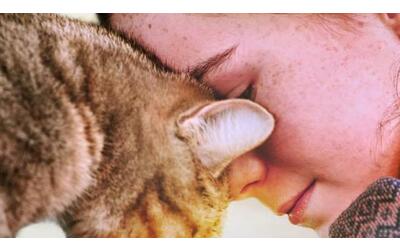 «Vita da gatto», il trailer del film. L’amicizia e la vita con gli occhi...