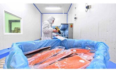 Come acquistare salmone sostenibile guardando l'etichetta