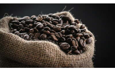 dal campo alla tazzina arriva in italia una nuova ricetta di caff sostenibile