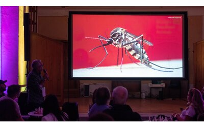 La dengue e gli altri virus: con la crisi climatica aumentano le zanzare. I consigli per tenerle lontane