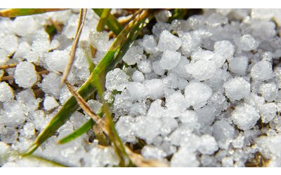 la neve tonda su liguria e piemonte il meteorologo fenomeno atteso