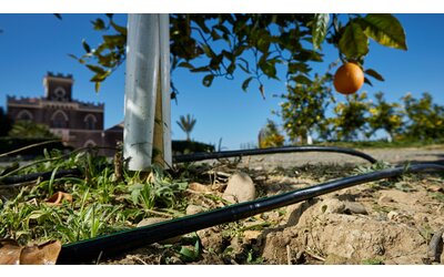 la sicilia combatte la siccit con la smart irrigation