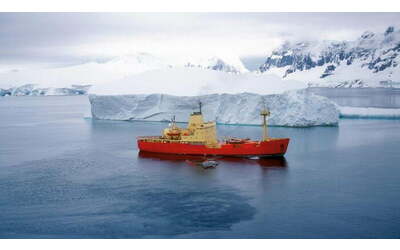 Microplastiche trovate anche in Antartide, dove nuotano le balene