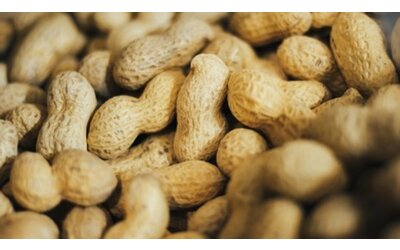 Pianta di arachidi: come coltivare il seme più gustoso