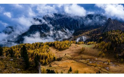 Un milione di ettari di bosco certificato, la metà è in Trentino-Alto Adige
