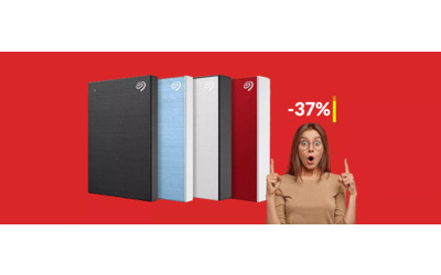Hard disk esterno 1TB Seagate: il prezzo CROLLA ad appena 65€