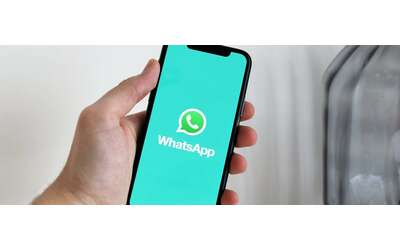 la ricerca dei messaggi per data su whatsapp sar presto su android