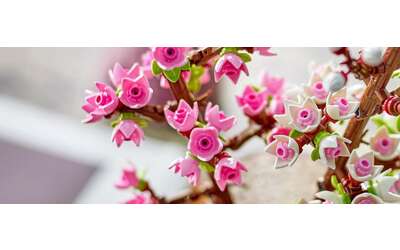 lego fiori di ciliegio sboccia la primavera a soli 14 99