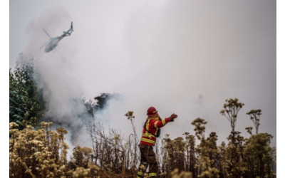 Incendi in Cile, oltre 100 le vittime