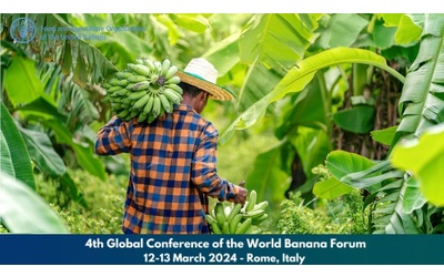 a roma il world banana forum un industria con molti problemi che punta alla sostenibilit