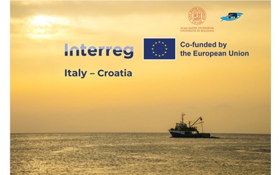 Al via 3EFishing per la pesca a propulsione elettrica nell’Adriatico