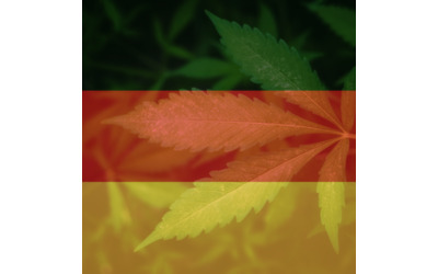 cannabis legale la germania approva la legge in via definitiva in vigore dal 1 aprile