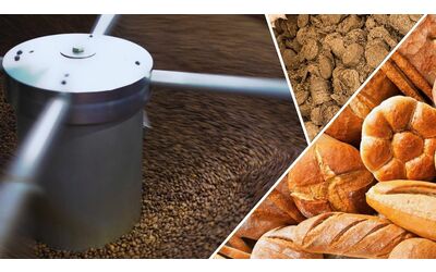 dagli scarti del caff prodotti da forno pi sani e sostenibili grazie alla ricerca italiana