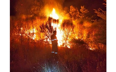 due nuovi progetti di ricerca per combattere gli incendi boschivi in italia