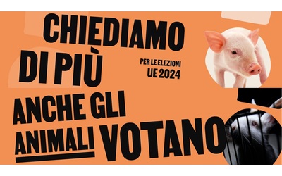 Elezioni europee 2024: anche gli animali votano