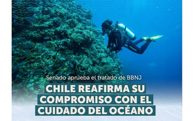 Il Cile è il primo Paese a ratificare il trattato globale degli Oceani. Greenpeace: giorno storico. L’Italia segua l’esempio