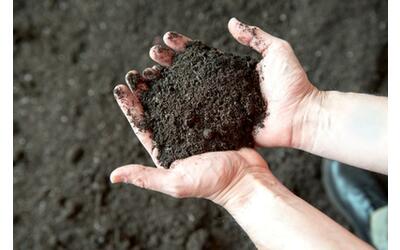 il compost come strumento per proteggere suolo e acqua dalla crisi climatica