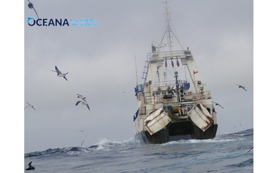 Med Sea Alliance: bene la creazione di un sistema sanzionatorio  contro pesca...