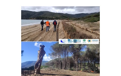Parco nazionale Arcipelago toscano: nuovo intervento di ripristino degli ambienti dunali a Lacona