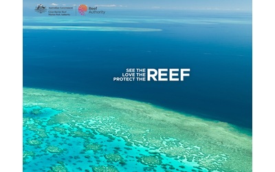 sbiancamento diffuso in tutta la grande barriera corallina australiana