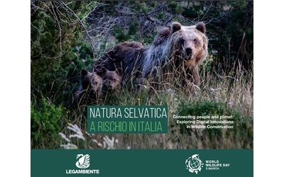 World wildlife day: natura selvatica a rischio in Italia