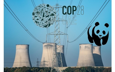 Wwf: la Cop28 sia quella della credibilità climatica