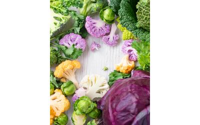 Brassicacee: tutti i segreti delle verdure “del cavolo”